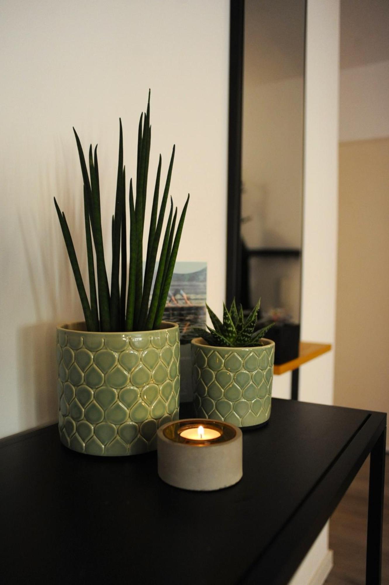 Deluxe-Apartment Altstadt Ettlingen Kültér fotó